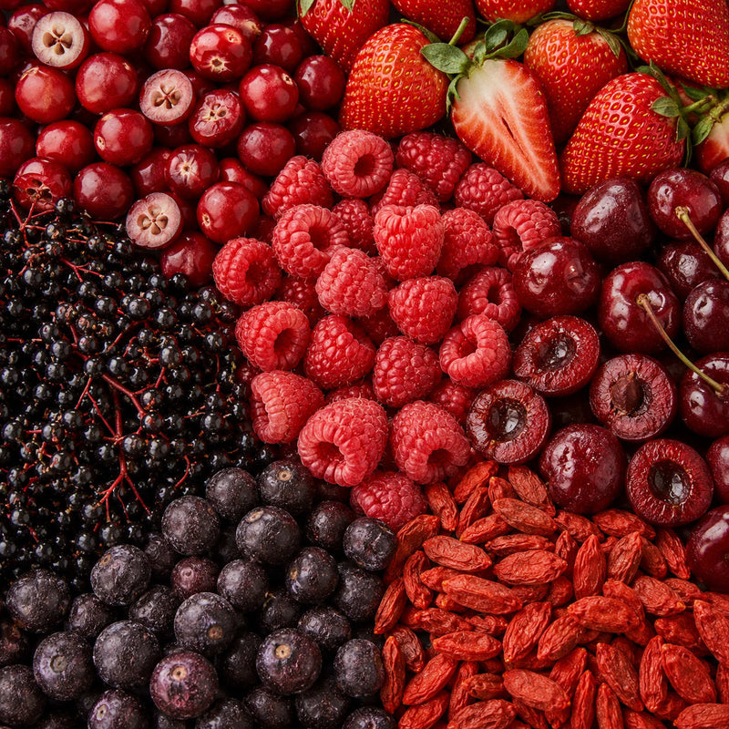 Antioxidant Support Blend