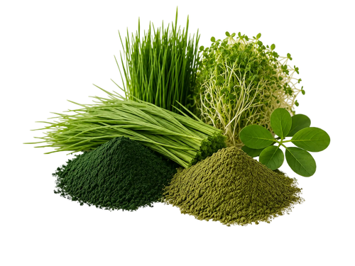 Daily Greens Blend