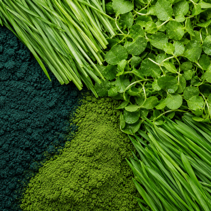 Daily Greens Blend
